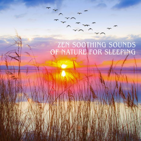 Zen Soothing Sounds of Nature for Sleeping