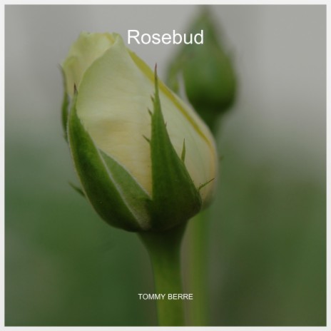 Rosebud | Boomplay Music