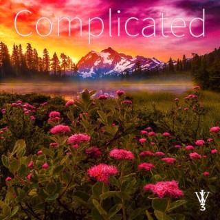 Complicated ft. Jose Diaz lyrics | Boomplay Music