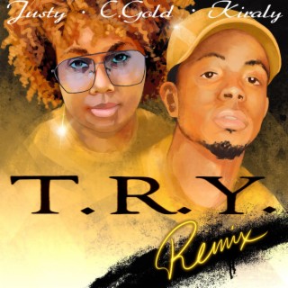 Try (C Gold Remix)