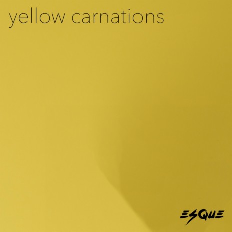 Yellow Carnations | Boomplay Music