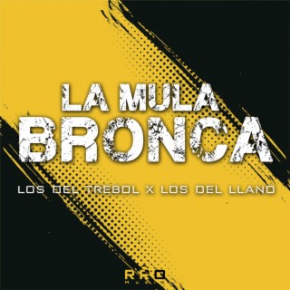 La Mula Bronca