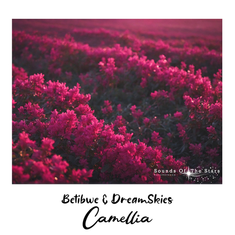 Camellia (Intro Mix) ft. DreamSkies | Boomplay Music