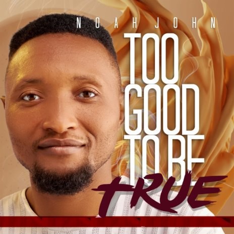 Too Good To Be True | Boomplay Music