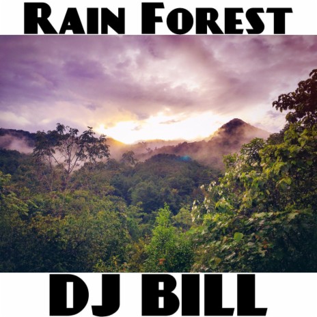 Rain Forest | Boomplay Music