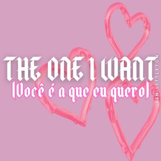 You're The One I Want (Você é a que eu quero)