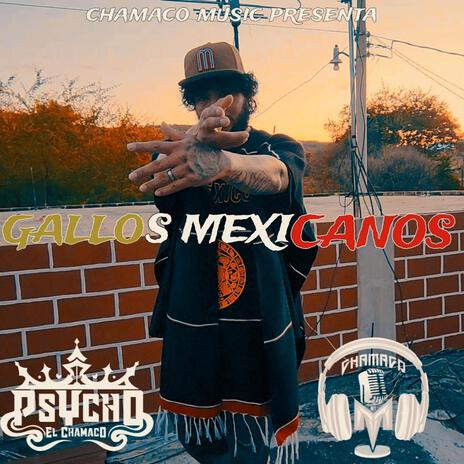 Gallos Mexicanos | Boomplay Music