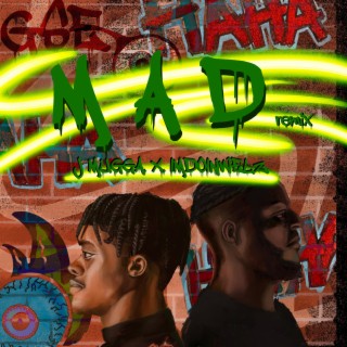 Mad (Remix) ft. Imdoinwelz lyrics | Boomplay Music
