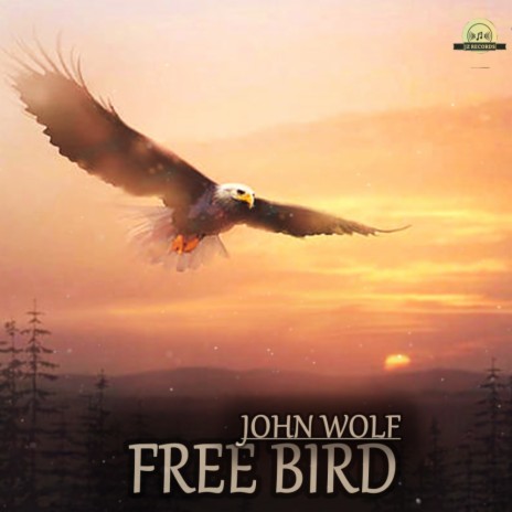 Free Bird | Boomplay Music