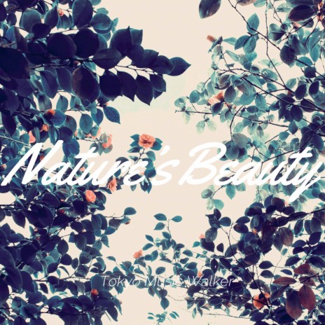 Nature's Beauty | Boomplay Music