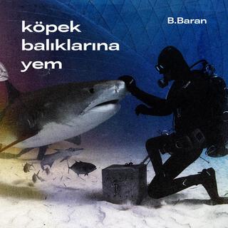 Köpekbalıklarına Yem lyrics | Boomplay Music