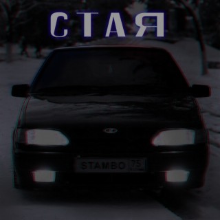 Стая