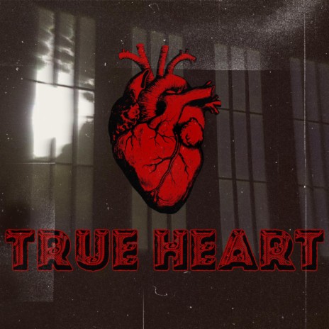True Heart | Boomplay Music