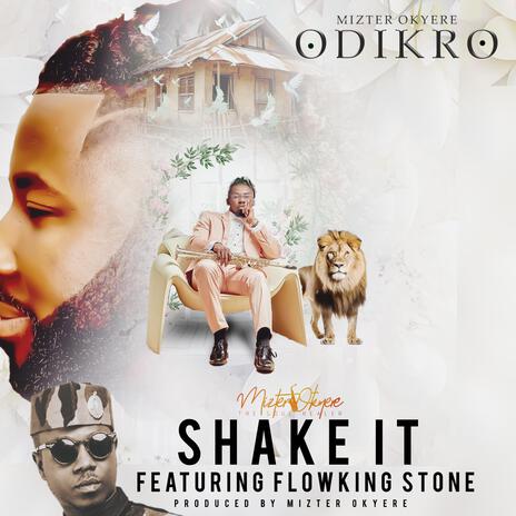 Shake It ft. Flowking Stone | Boomplay Music