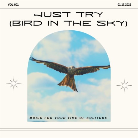 Just Try (Bird In The Sky) | Boomplay Music