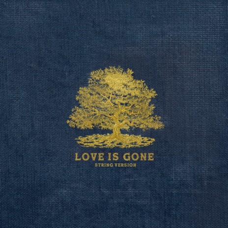 Love Is Gone (String Version) | Boomplay Music