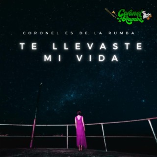 Te Llevaste Mi Vida lyrics | Boomplay Music