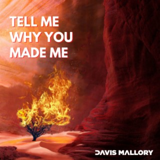 Tell Me Why You Made Me
