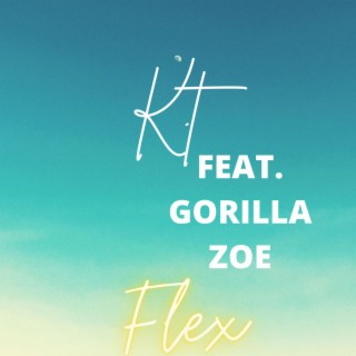 Flex (Radio Edit)