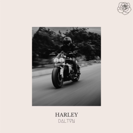 Harley | Boomplay Music