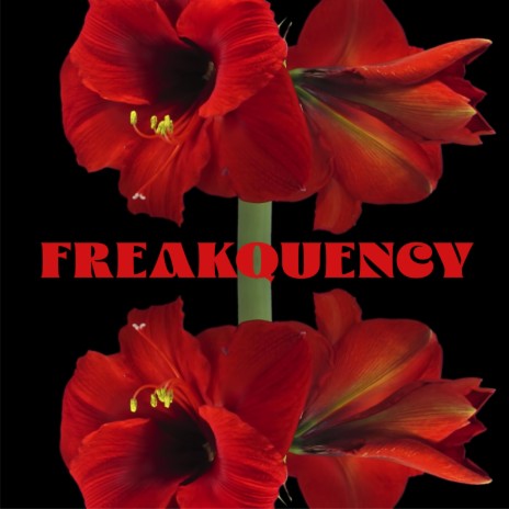 Freakquency | Boomplay Music