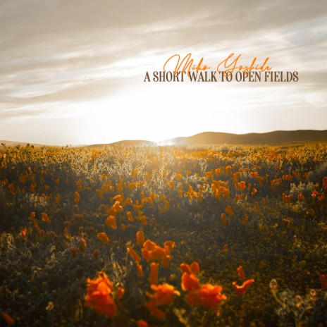 A Short Walk To Open Fields | Boomplay Music