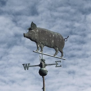 Stone Pig (I. Just Another Morning on the Farm/II. I’ll Never Die, For I am Stone/III. The Slaughter House)