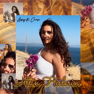 Altın Hislerin ft. Assey lyrics | Boomplay Music