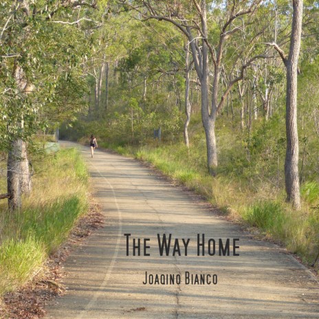 The Way Home | Boomplay Music