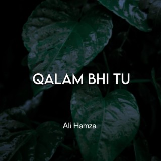 Qalam Bhi Tu