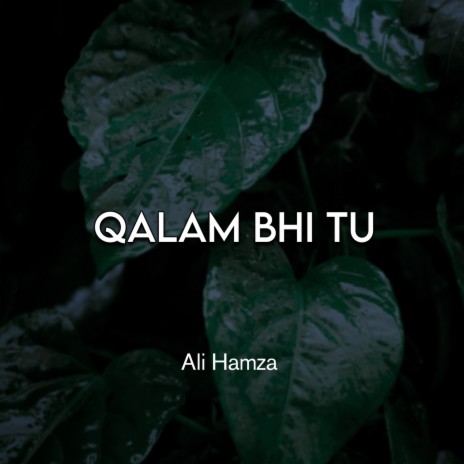 Qalam Bhi Tu | Boomplay Music