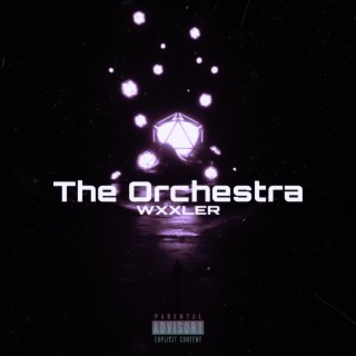 The Orchestra