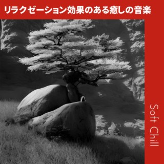 リラクゼーション効果のある癒しの音楽