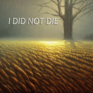 I Did Not Die lyrics | Boomplay Music