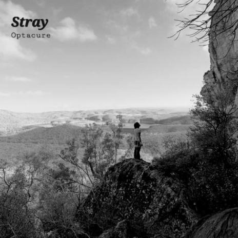 Stray | Boomplay Music