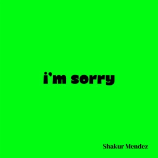 I'm Sorry (sped up) lyrics | Boomplay Music