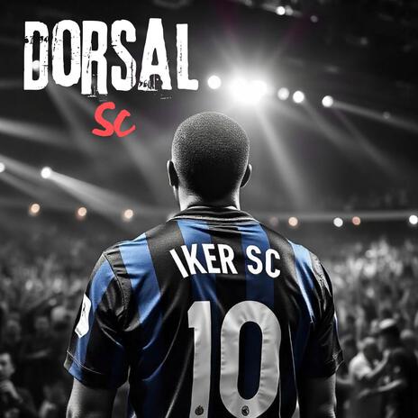 Dorsal Sc | Boomplay Music