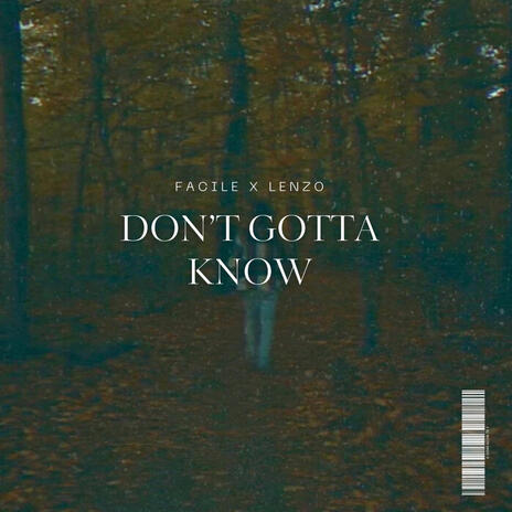 DON'T GOTTA KNOW ft. Lenzo