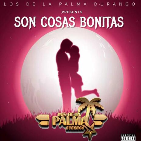 SON COSAS BONITAS | Boomplay Music