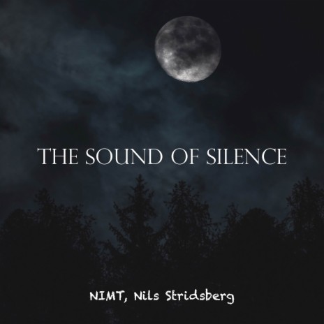 The Sound of Silence (Acoustic) ft. Nils Stridsberg | Boomplay Music