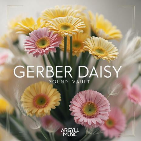 Gerber Daisy