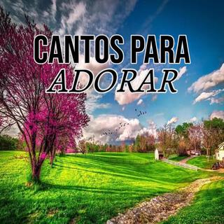 Cantos Para Adorar