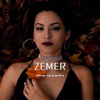 ZEMER (Dancehall Beat)
