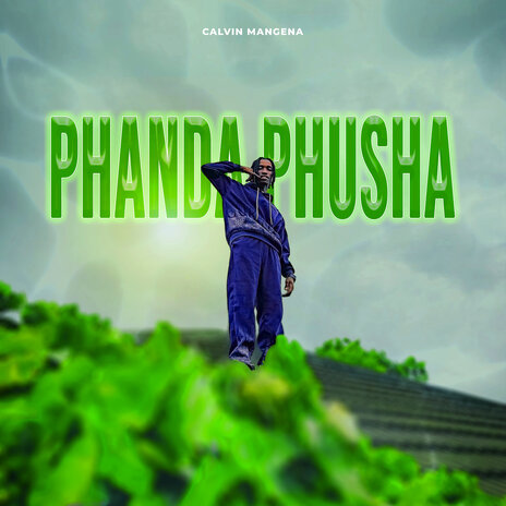 Phanda Phusha | Boomplay Music