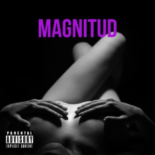 Magnitud