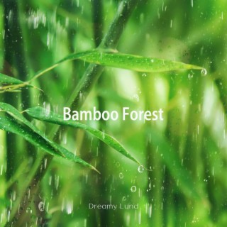 Bamboo Forest