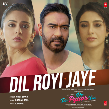 Dil Royi Jaye (From De De Pyaar De) | Boomplay Music