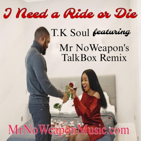 T.K. Soul I Need a Ride or Die (Mr No Weapon's Talkbox Mix) | Boomplay Music