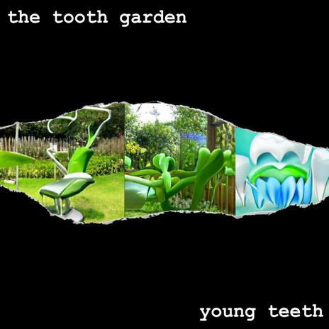 The Tooth Garden