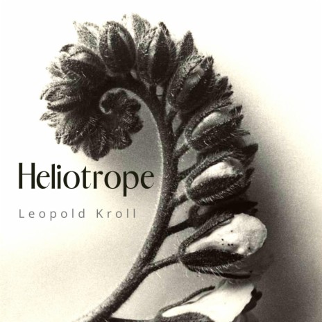 Heliotrope | Boomplay Music